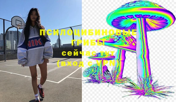кокс Алексин