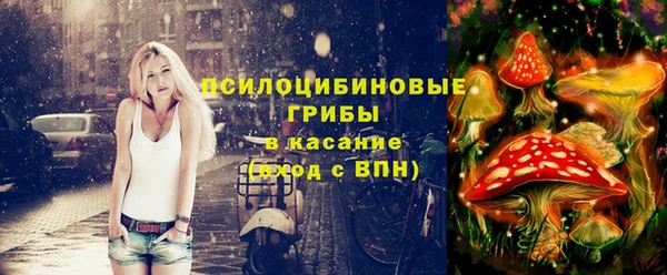 кокс Алексин