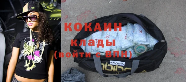 прущие грибы Абдулино