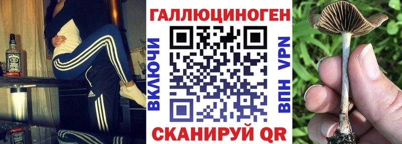Псилоцибиновые грибы прущие грибы  сайты даркнета Telegram  Скопин 